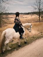 Sprookjespaard Billie, Dieren en Toebehoren, Pony's, Ruin, Recreatiepony