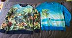 2 Truien + T-shirt WE 158/164, Kinderen en Baby's, Kinderkleding | Maat 158, Gebruikt, WE, Trui of Vest, Ophalen of Verzenden