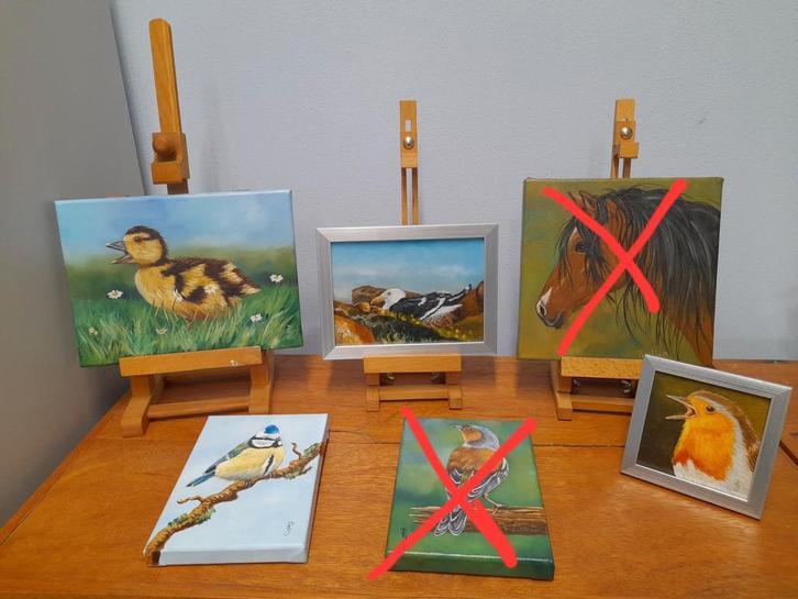 OPRUIMING vogelschilderijen pimpelmees roodborstje eend etc, Huis en Inrichting, Woonaccessoires | Schilderijen, Tekeningen en Foto's