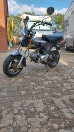 Honda (skyteam) dax, Ophalen, Overige modellen, Maximaal 45 km/u, 49 cc