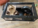Hamsterkooi met accessoires, Dieren en Toebehoren, Knaagdieren en Konijnen | Hokken en Kooien, Kooi, Minder dan 75 cm, Hamster