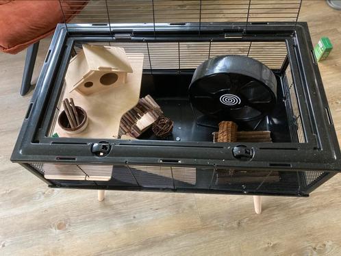 Hamsterkooi met accessoires, Dieren en Toebehoren, Knaagdieren en Konijnen | Hokken en Kooien, Kooi, Minder dan 60 cm, Minder dan 75 cm