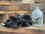 Partij nieuwe kunstbloemen zwart boeket bloemenboog krans, Binnen, 3811JM, Info@rodebeagle.nl, Rode Beagle Kunstbloemen