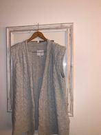 Dante 6 Grijze wollen  Vest Mouwloos Maat L, Ophalen of Verzenden, Zo goed als nieuw, Maat 42/44 (L), Grijs