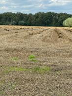 Stro baaltjes, Ophalen, Vee