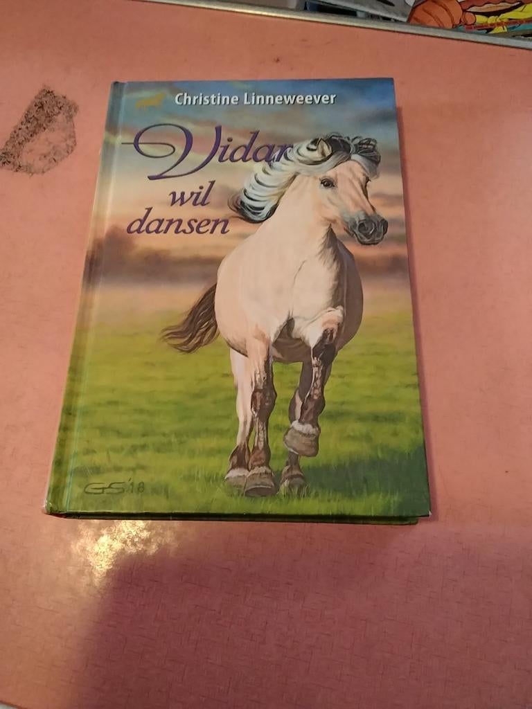 Christine linneweever vidar wil dansen 9 + nu € 5, Ophalen, Zo goed als nieuw, Fictie algemeen