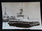 ansichtkaart sleepboot "Schouwenbank", Verzamelen, Ophalen of Verzenden, Nieuw, Motorboot, Kaart, Foto of Prent