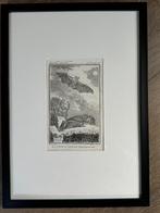 Vleermuis - gravure 1770 - O U D, Antiek en Kunst, Ophalen of Verzenden