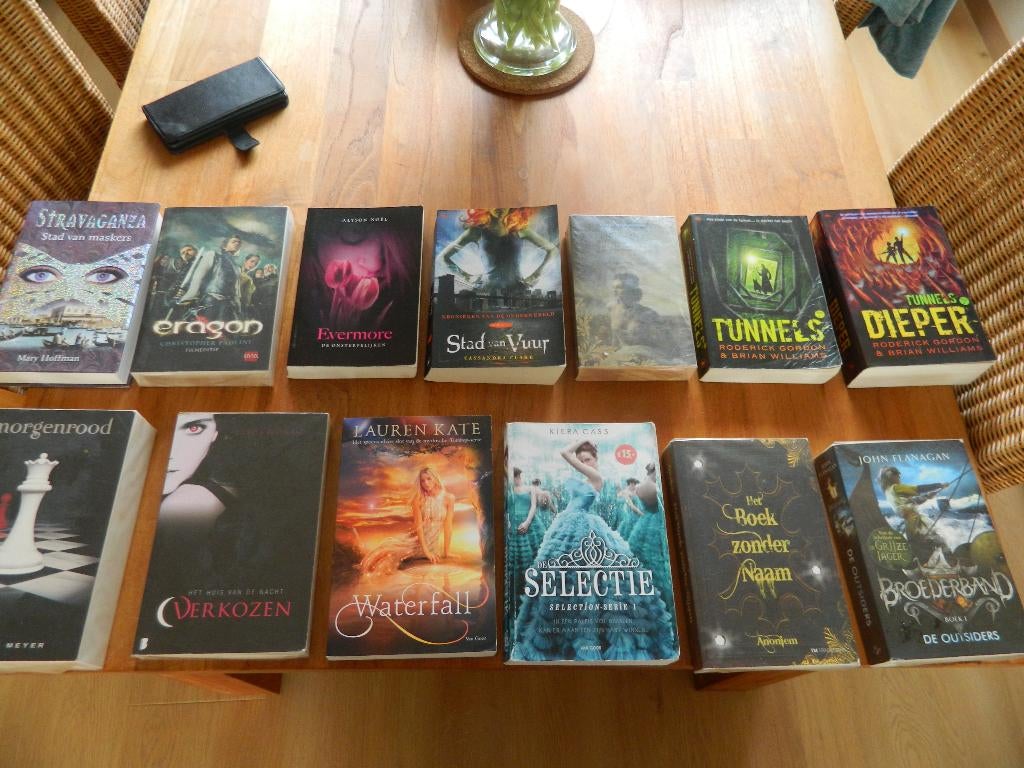 14x Fantasy / Young Adult ( los 2,- of 3 voor 5 euro ), Boeken, Fantasy, Gelezen, Ophalen of Verzenden