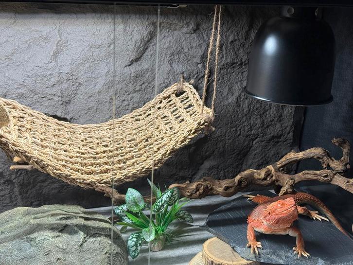 PU Stone panel for terrarium 120x60, Dieren en Toebehoren, Reptielen en Amfibieën, Slang, 0 tot 2 jaar