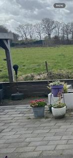 Tuintegel beton 30x20x5 ingeveer 50/60 vierkante meter, Tuin en Terras, Ophalen, Gebruikt, 10 m² of meer, Beton