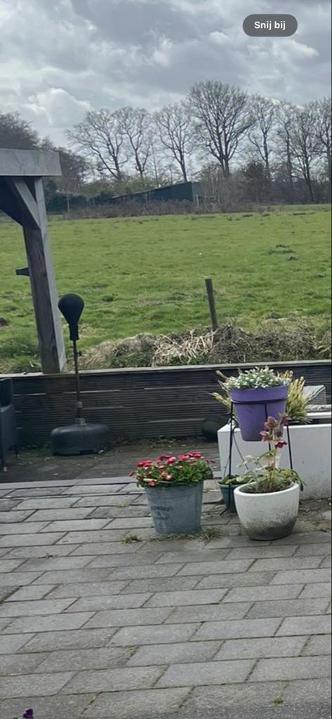 Tuintegel beton 30x20x5 ingeveer 50/60 vierkante meter, Tuin en Terras, Tegels en Klinkers, Gebruikt, Terrastegels, Beton, 10 m² of meer