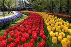 4 Keukenhof tickets en kinderen gratis., Tickets en Kaartjes, Drie personen of meer