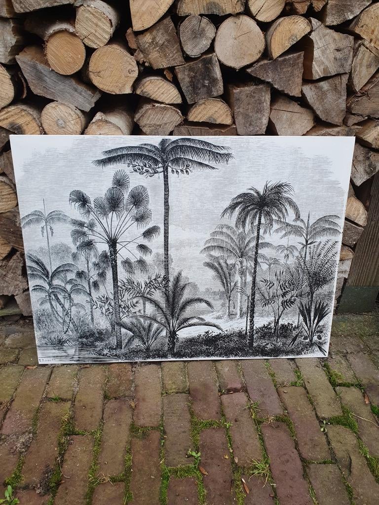 Canvas schilderij palmbomen., Ophalen, Flora en Fauna, Overige technieken, 1950 - 1999