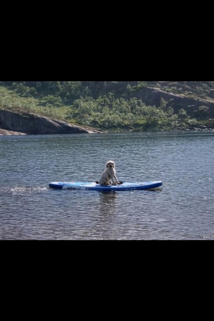 2 mooie, stabiele opblaasbare Mistral sups met zitje, Ophalen, Zo goed als nieuw, SUP-boards