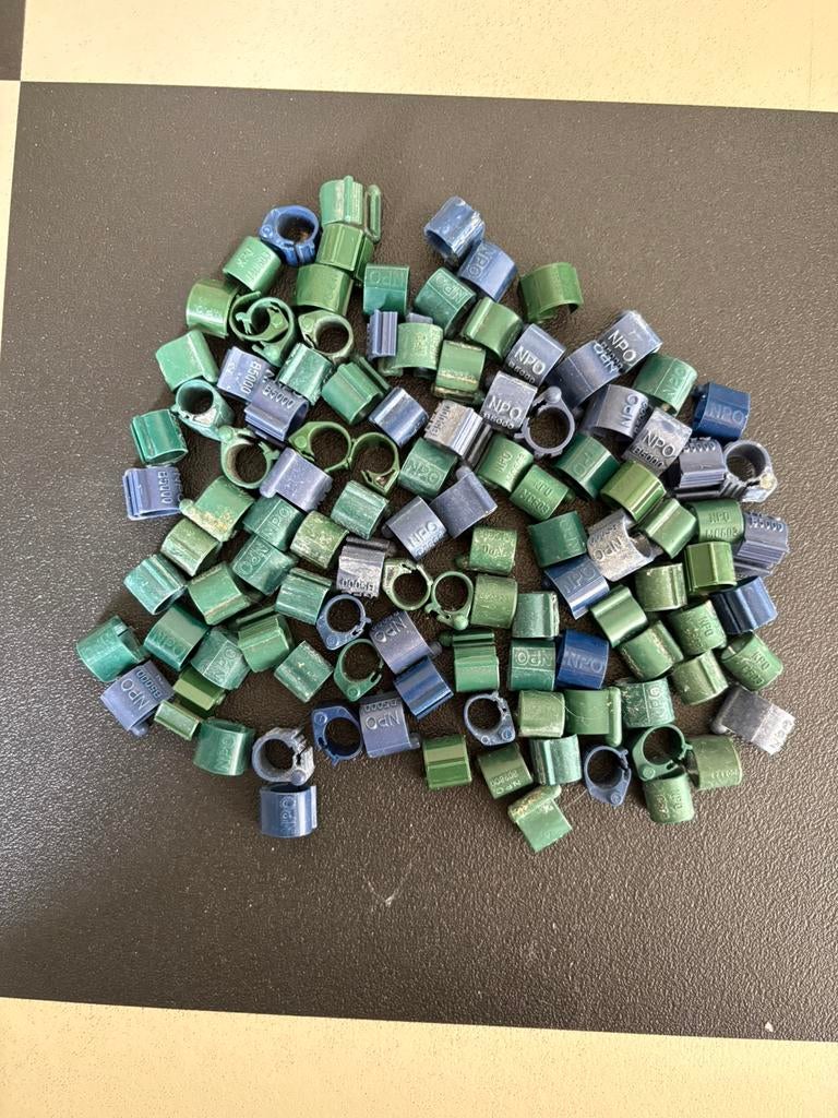 110x chipring voor postduiven, Meerdere dieren, Postduif