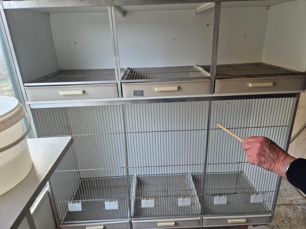 Broedkooien, Dieren en Toebehoren, Vogels | Hokken en Kooien, Ophalen, Gebruikt, Broedkooi of Kweekkooi