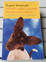 HONDEN WETEN WANNEER HUN BAAS THUISKOMT * Rupert Sheldrake, Boeken, Gelezen, Achtergrond en Informatie, Ophalen of Verzenden, Overige onderwerpen
