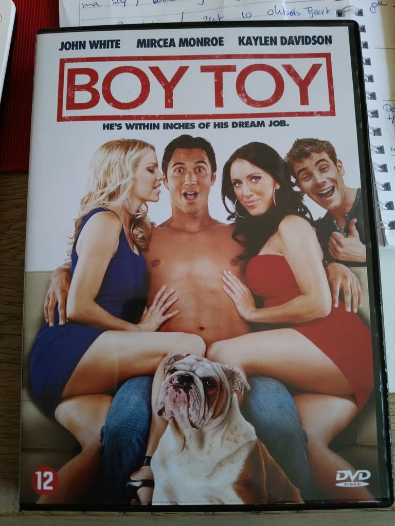 Boy Toy DVD - Hilarische Romantische Komedie, Vanaf 12 jaar, Ophalen of Verzenden, Gebruikt, Romantische komedie
