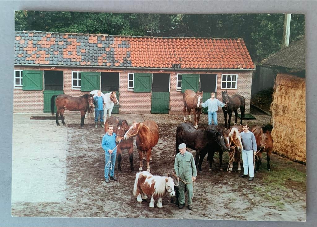 Nationaal Rusthuis v. Paarden De Paardenkamp, Soest, Ophalen of Verzenden, 1980 tot heden, Ongelopen, Utrecht