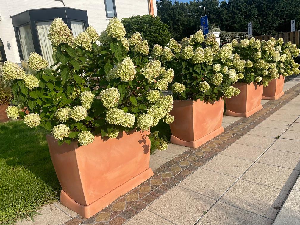 4x XXL kunststof plantenbak BLOEMBAK compleet met Limelights, Tuin en Terras, Bloempotten, Ophalen, Kunststof, Zo goed als nieuw