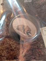 Zilveren munt, Ophalen of Verzenden, Zilver