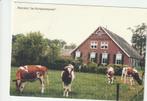 KOEIEN BOERDERIJ KLUMPENHOUWER IJZERLO, Verzenden, 1980 tot heden, Gelopen, Drenthe