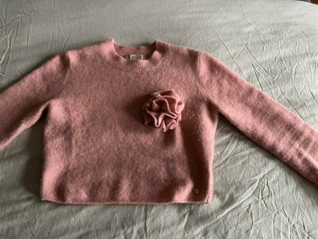 Prachtige roze trui van Josh V in maat XS, Ophalen of Verzenden, Zo goed als nieuw, Maat 34 (XS) of kleiner, Roze