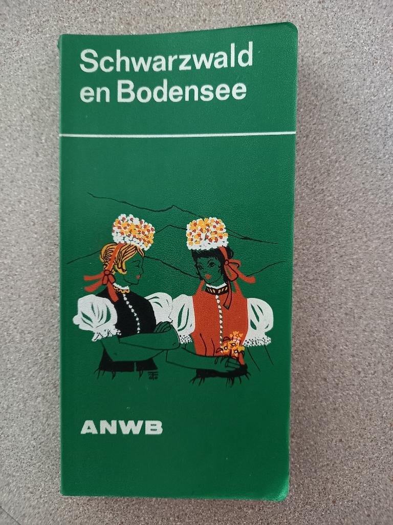 Reisgids Schwarzwald en Bodensee, Gelezen, Europa, Ophalen of Verzenden, Reisgids of -boek