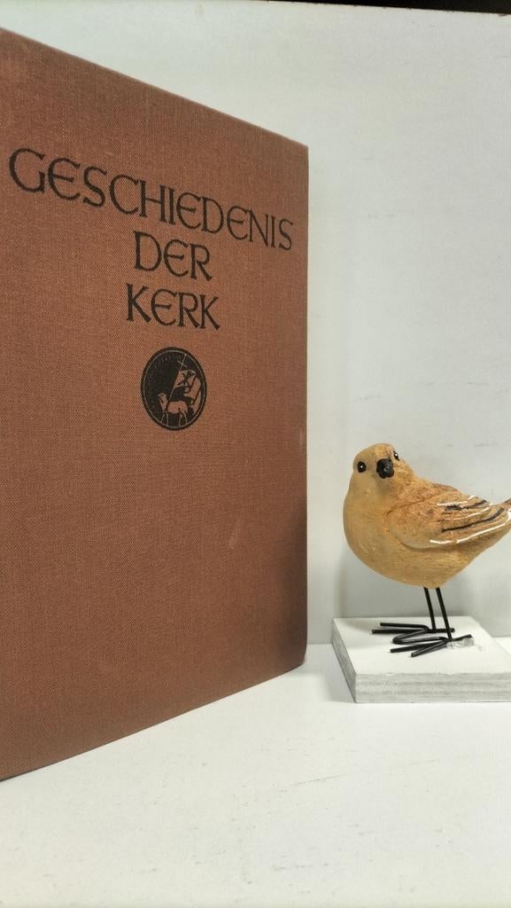 Berkhof, Dr. H ; Geschiedenis der kerk, Ophalen of Verzenden, Gelezen, Christendom | Protestants
