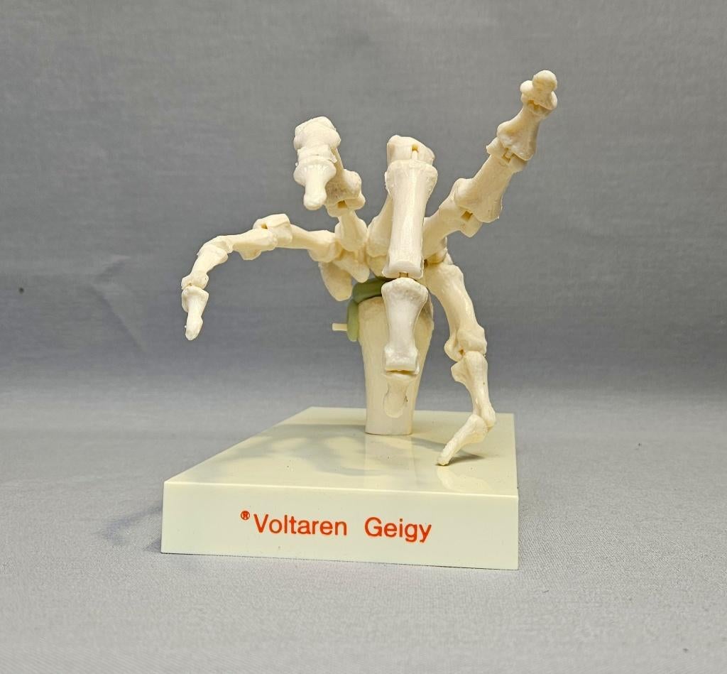 Vintage Medisch Anatomisch Model -Handskelet -Voltaren Geigy, Ophalen of Verzenden