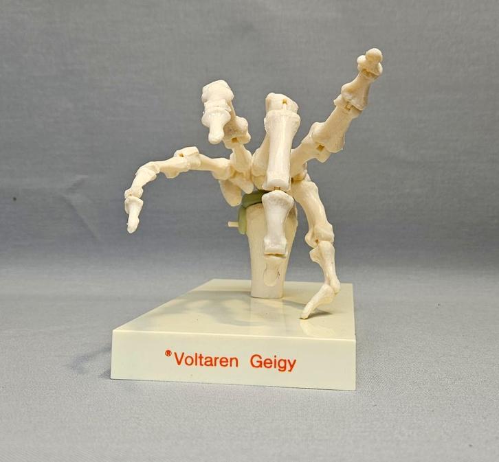 Vintage Medisch Anatomisch Model -Handskelet -Voltaren Geigy, Antiek en Kunst, Curiosa en Brocante, Ophalen of Verzenden