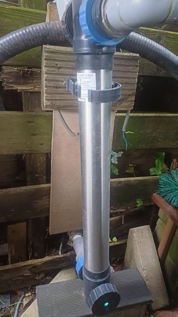 Koikarpers, Ophalen of Verzenden, Gebruikt
