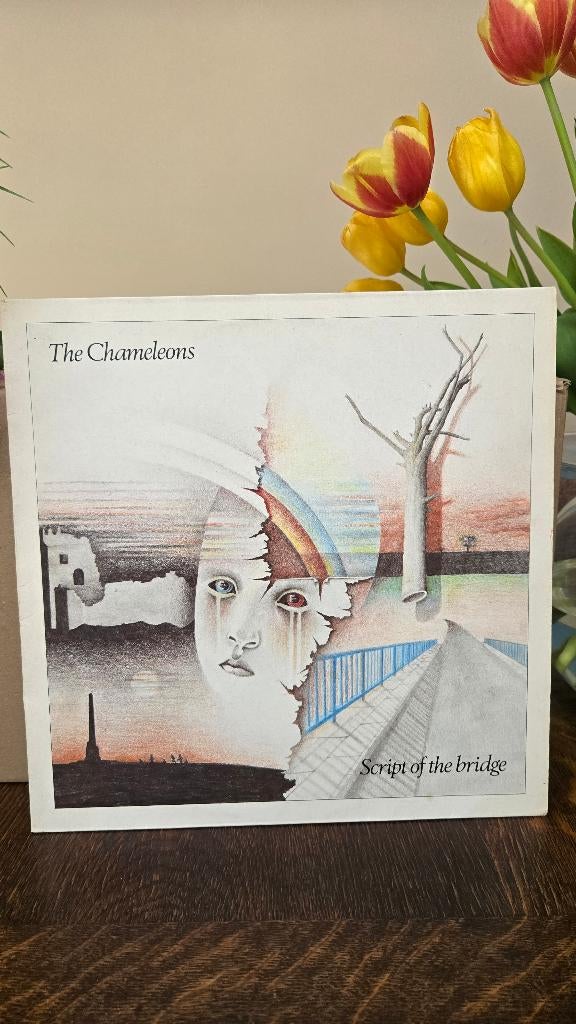 The Chameleons ‎– Script Of The Bridge          lp, Cd's en Dvd's, Ophalen of Verzenden, Gebruikt, 12 inch, Alternative
