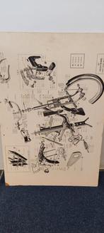 Solex komt van een technische school, Antiek en Kunst, Ophalen, Natuur en Biologie