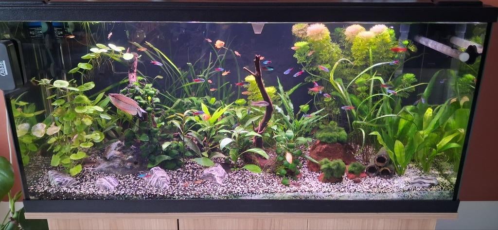 Eheim aquarium 180 liter, 1 meter, Ophalen, Gebruikt, Pomp, Leeg aquarium