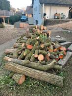 Brandhout: Mix van blokken en stammen, diverse houtsoorten, Tuin en Terras, Haardhout, 3 tot 6 m³, Ophalen of Verzenden, Blokken