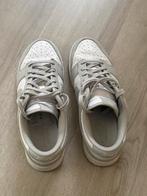 Nike air dunk low grijs, Ophalen of Verzenden, Zo goed als nieuw, Overige kleuren