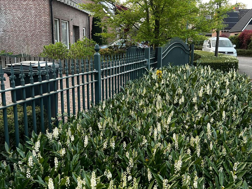 Groen hekwerk met elektrische poort, Ophalen, Met poort, Gebruikt, Sierhekwerk