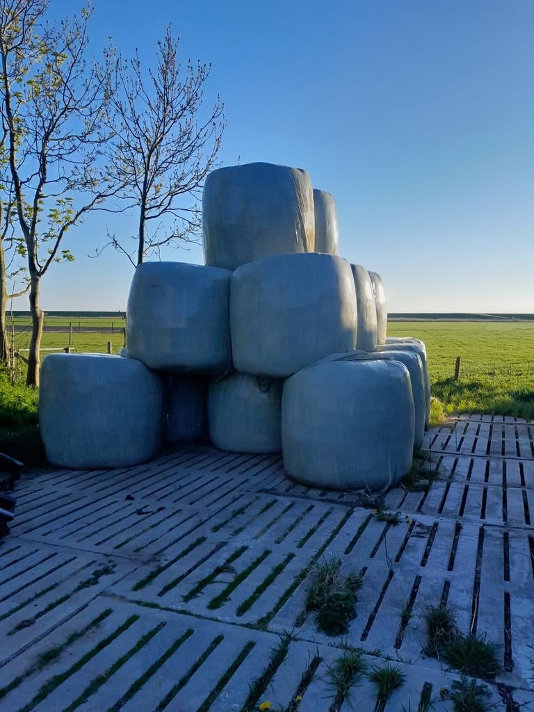 2e snee kuil te koop, Ophalen of Verzenden