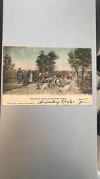 Wedstrijd op varkens ansichtkaart Muiderberg Amsterdam, Ophalen of Verzenden, Voor 1920, Noord-Holland