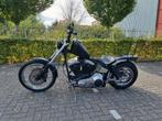 Lowtail, Harley 1340 EVO, Eigenbouw, Motoren, 2 cilinders, 1340 cc, Particulier, Meer dan 35 kW