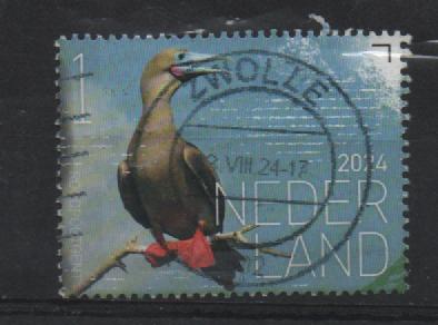 ‹(•¿•)› nl k0483 vogel 2024, Postzegels en Munten, Postzegels | Nederland, Ophalen of Verzenden, Na 1940, Gestempeld
