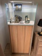 Afmetingen: 50 x 35 x 35 cm Inhoud: 60 liter, Ophalen of Verzenden, Zo goed als nieuw, Leeg aquarium