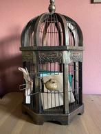 Enveloppendoos, vogelkooi, kaartendoos, bruiloft, Ophalen of Verzenden, Zo goed als nieuw, Versiering, Geboorte of Huwelijk