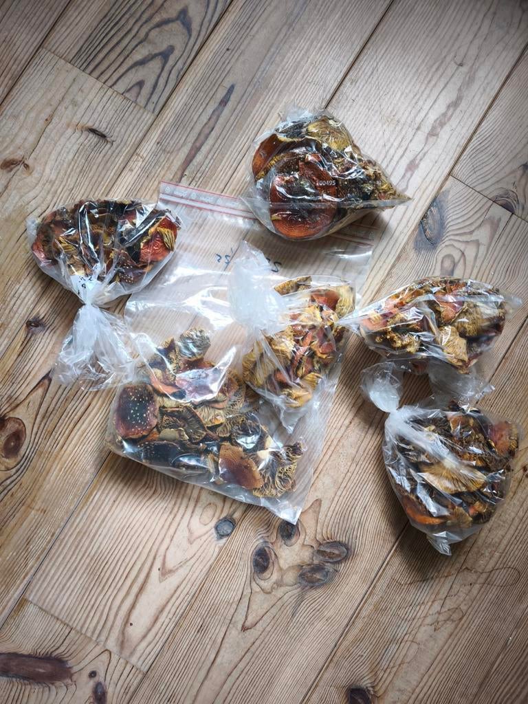 Amanita muscaria gedroogd, Ophalen, Nieuw, Overige typen