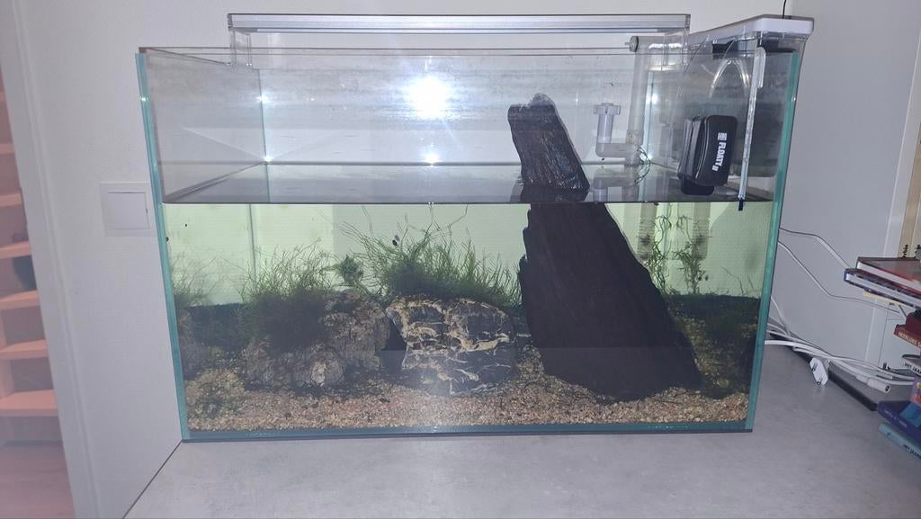 Compleet aquarium, Dieren en Toebehoren, Vissen | Aquaria en Toebehoren, Ophalen, Zo goed als nieuw, Gevuld zoetwateraquarium