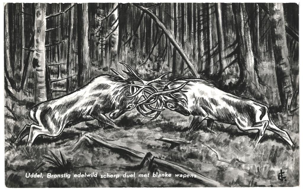 967082 Uddel Gld 1963 Bronstig edelwild edelhert Gelopen