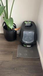 Kattenspullen gratis!, Dieren en Toebehoren, Ophalen