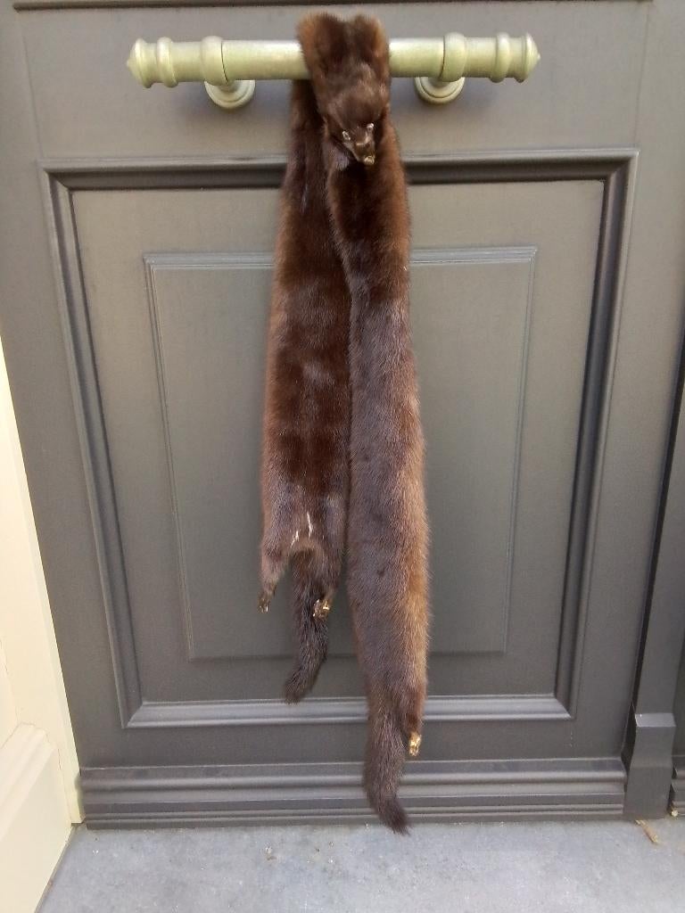 nerts, Kleding | Dames, Jassen | Winter, Ophalen, Zo goed als nieuw, Bruin